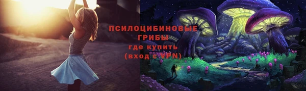 прущая мука Алзамай