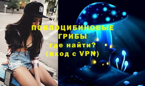 ALPHA-PVP Ельня